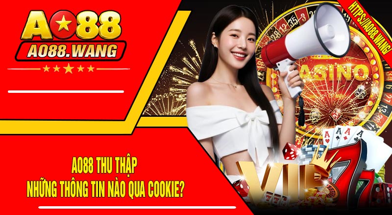 AO88 Thu Thập Những Thông Tin Nào Qua Cookie?