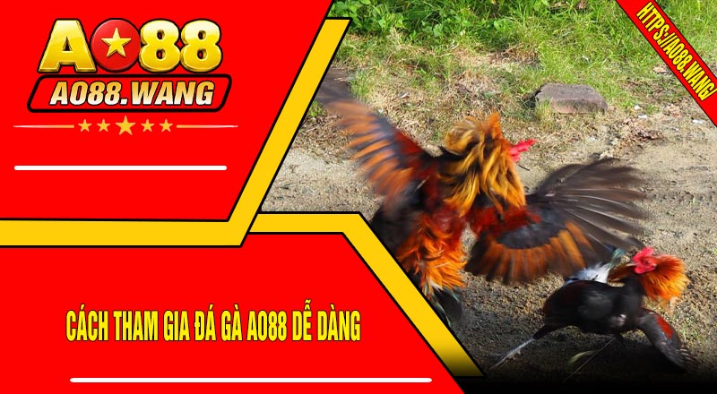 Cách Tham Gia Đá Gà AO88 Dễ Dàng