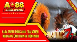 Đá Gà Truyền Thống AO88 - Trải Nghiệm Đỉnh Cao Và Cách Tham Gia Thông Minh