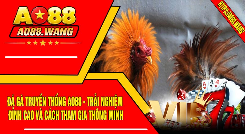 Đá Gà Truyền Thống AO88 - Trải Nghiệm Đỉnh Cao Và Cách Tham Gia Thông Minh