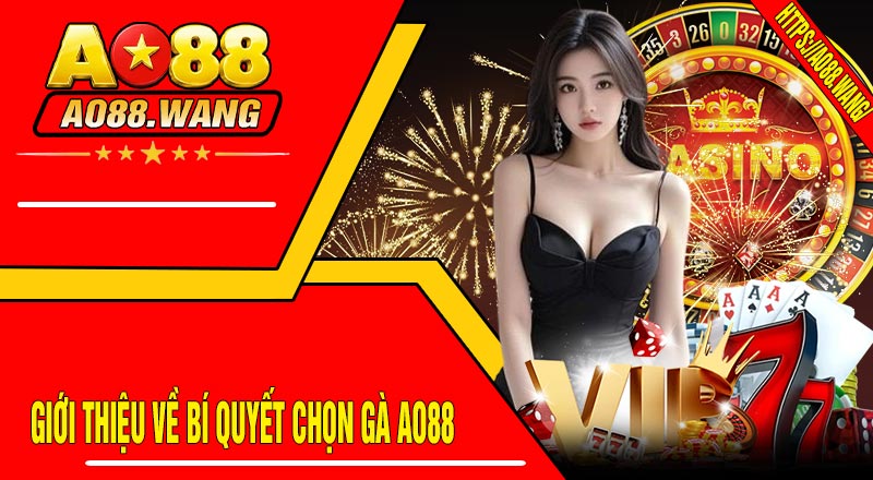 Giới Thiệu Về Bí Quyết Chọn Gà AO88