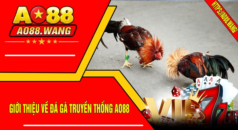 Giới Thiệu Về Đá Gà Truyền Thống AO88